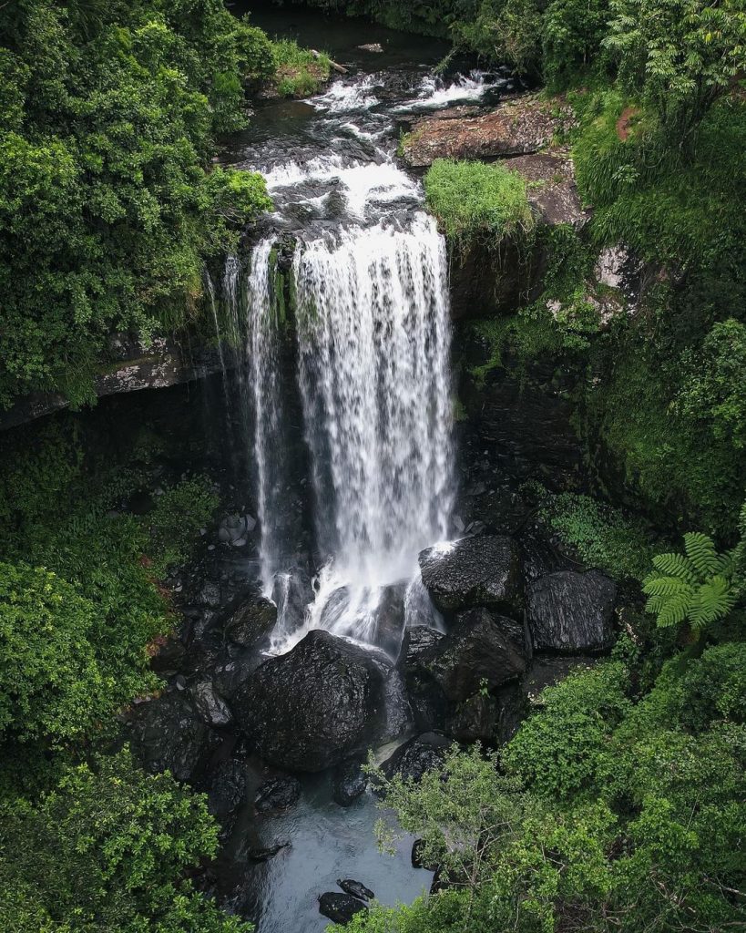 The Best Waterfalls On The Atherton Tablelands Atherton Tablelands