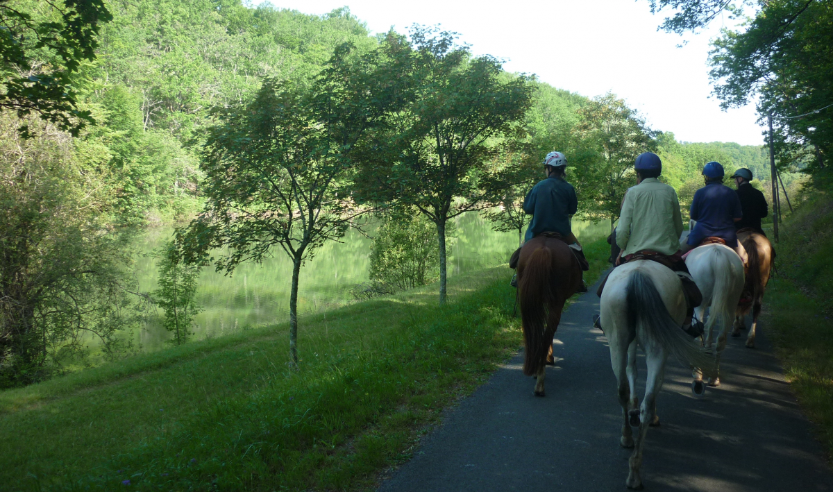 Taits Wongabel Stables