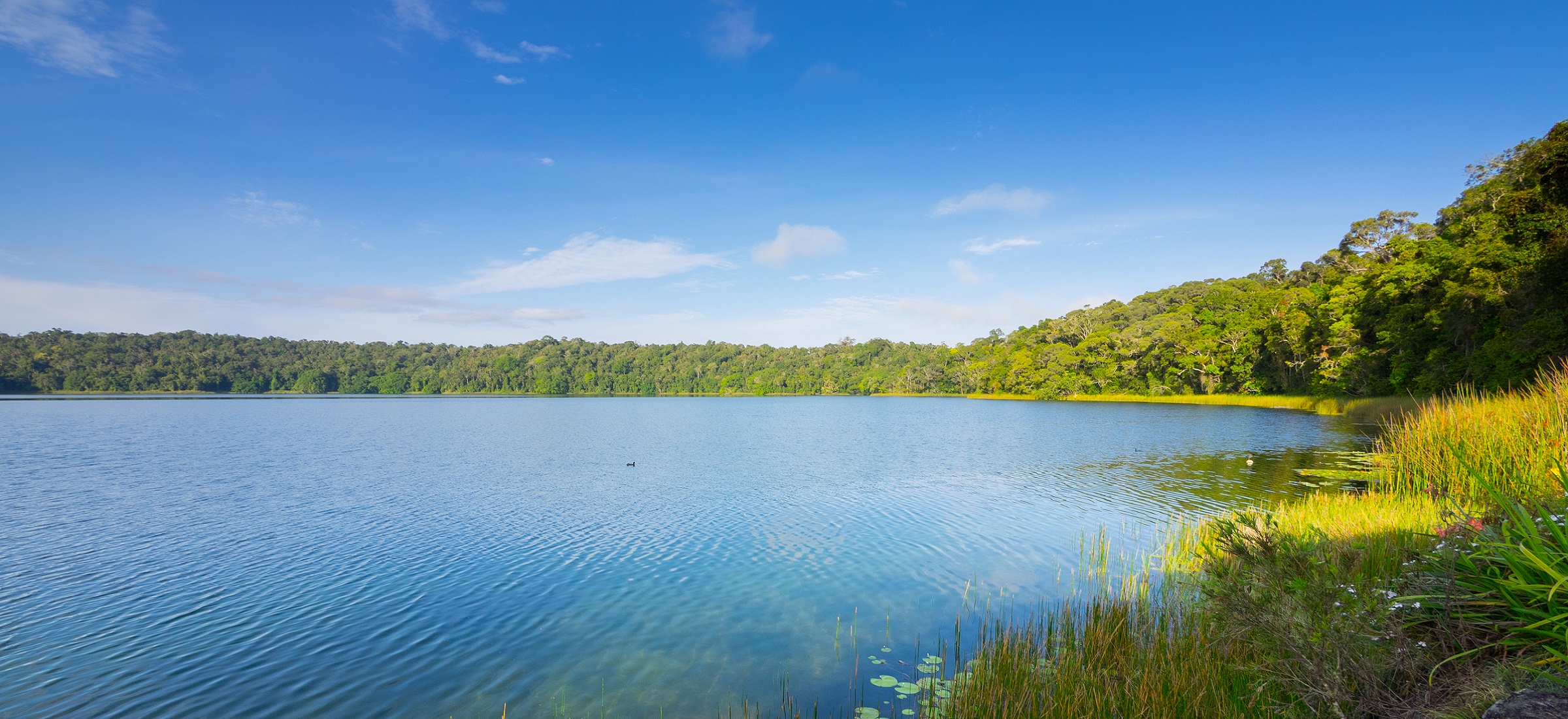 Experiences Atherton Tablelands Tropical North Queensland