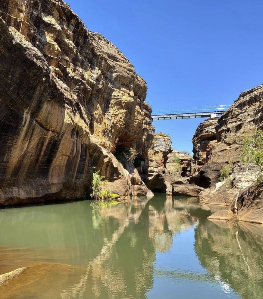 Our Favourite Viewing Platforms And Board Walks On The Atherton   @cobboldgorge 